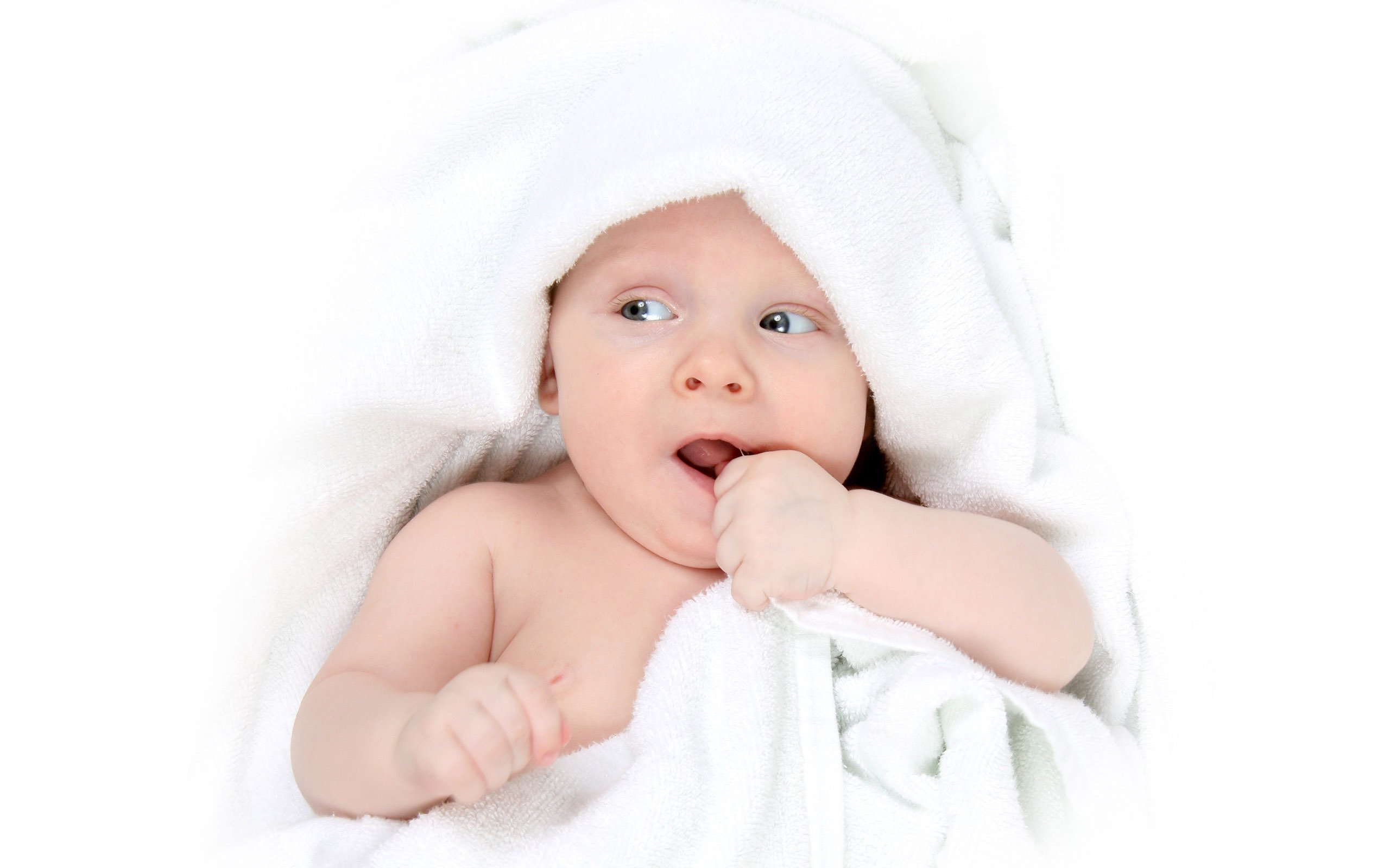 湖州正规捐卵机构2015试管婴儿成功率